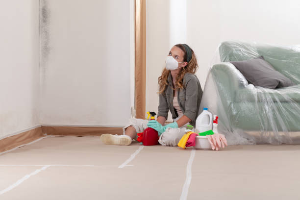 Reliable Mold Removal contractor in Lake Elmo, MN by Mold Remediation HQ